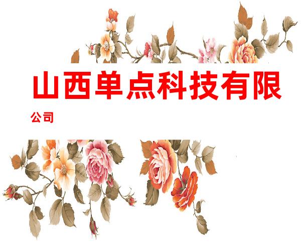 山西单点科技有限公司