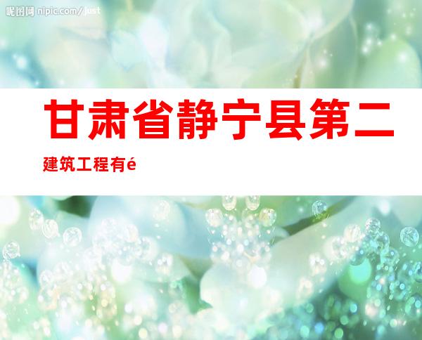 甘肃省静宁县第二建筑工程有限公司